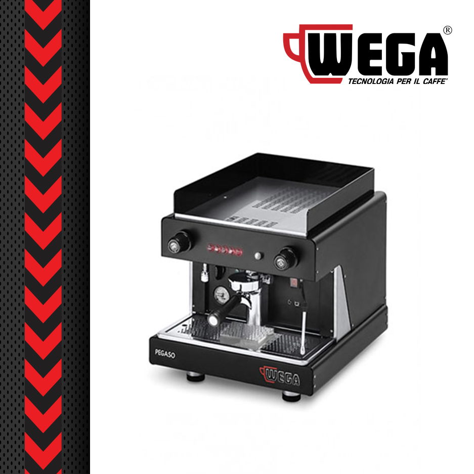 Wega pegaso 1 on sale group