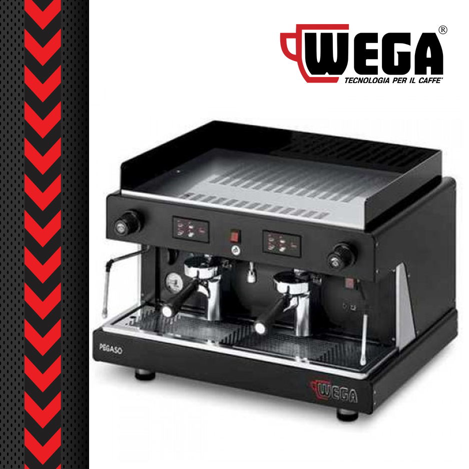 Wega Pegaso 2 Group