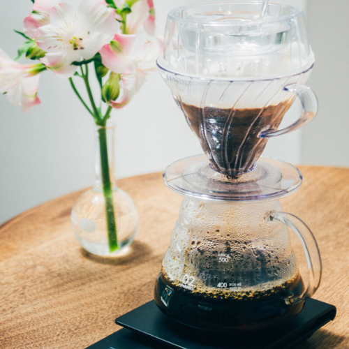 Hario V60 Drip-Assist