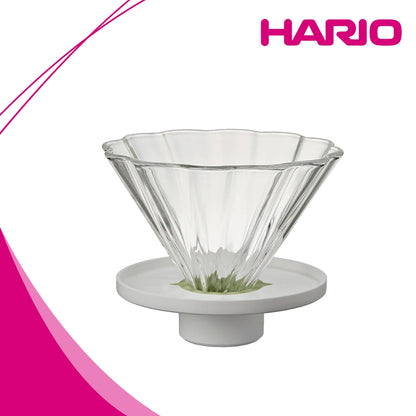 Hario CHA CHA Dripper Bouquet